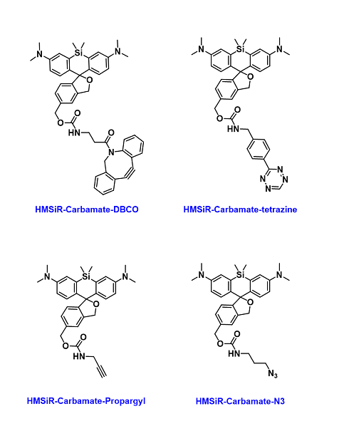 HMSiR-Click probes